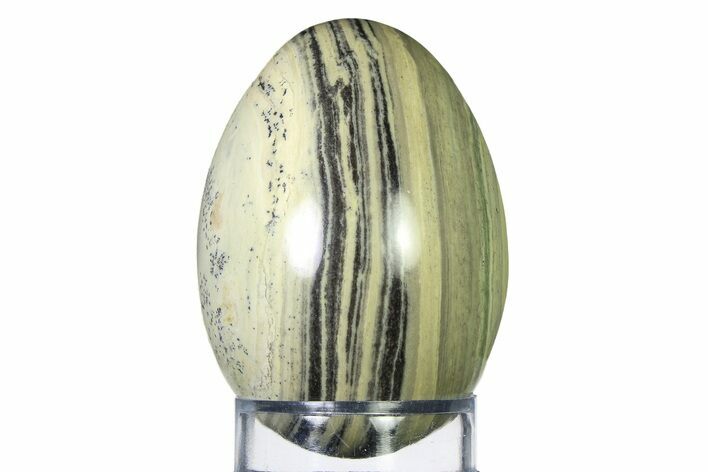 Polished Serpentine Stone Egg - Arizona #322342